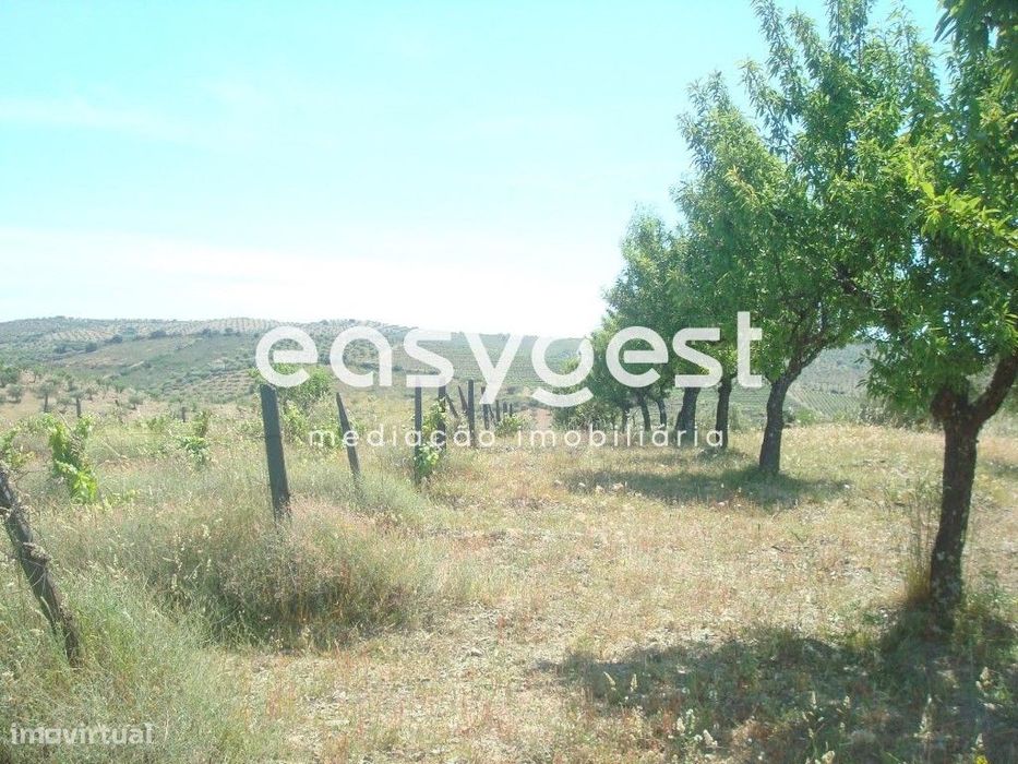 Terreno agrícola de 1,5 hectares em Almendra