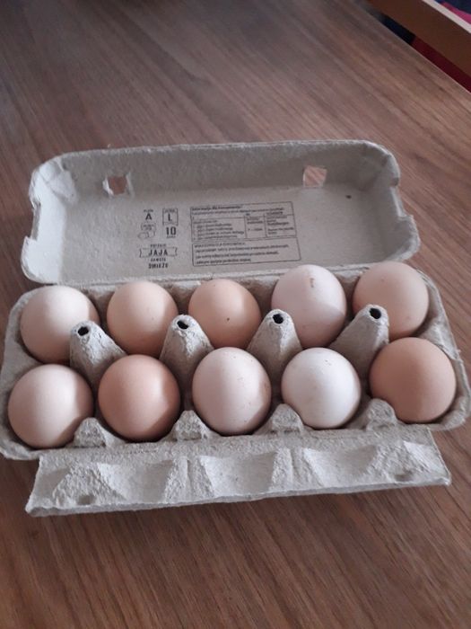 Sprzedam jajka wiejskie duże cena. 1, 50