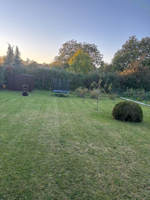 Ogródek ROD Wiśniowy Międzyrzecz