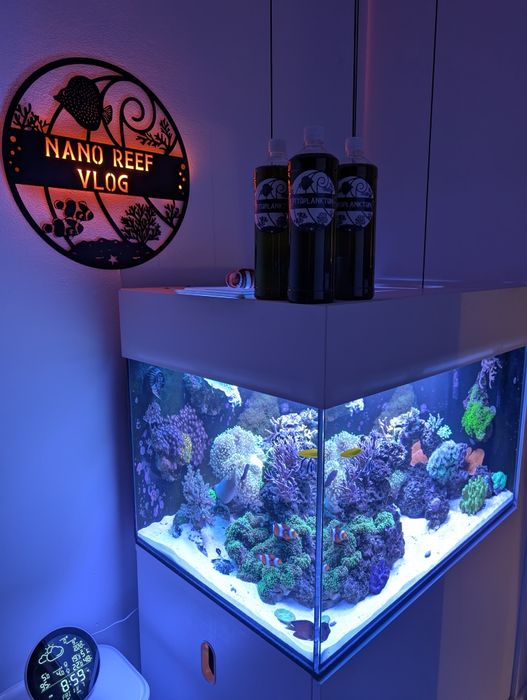 Fitoplankton z 13.02.26 1 l do akwarium morskiego pokarm dla korali