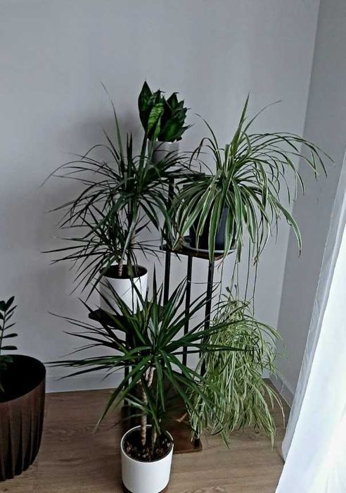 Kwietnik duży stojący na kwiaty rośliny 5 poziomów