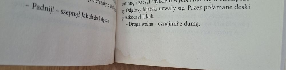 Kroniki Jakuba Wędrowycza