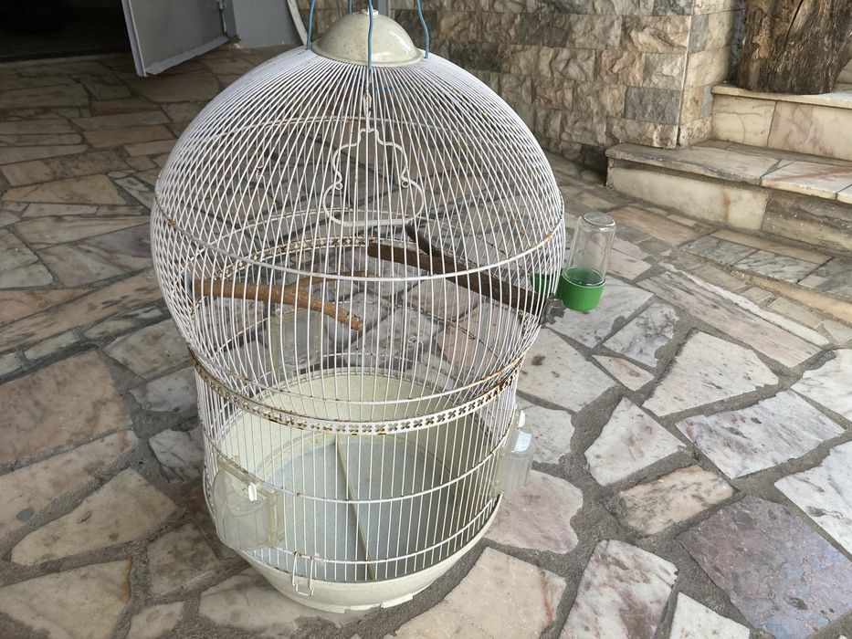 Gaiola usada negociavel