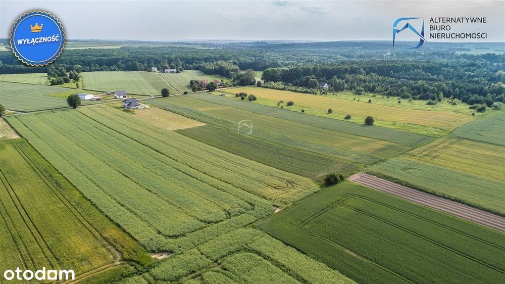 Atrakcyjna działka budowlano-rolna w Żabiej Woli
