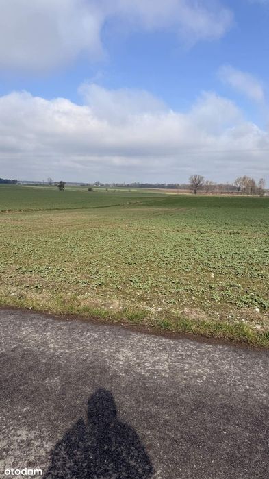 OKAZJA Działki budowlane 1643 i 1644 m² | Bielany | A4 | INVEST-PARK – pohled 4