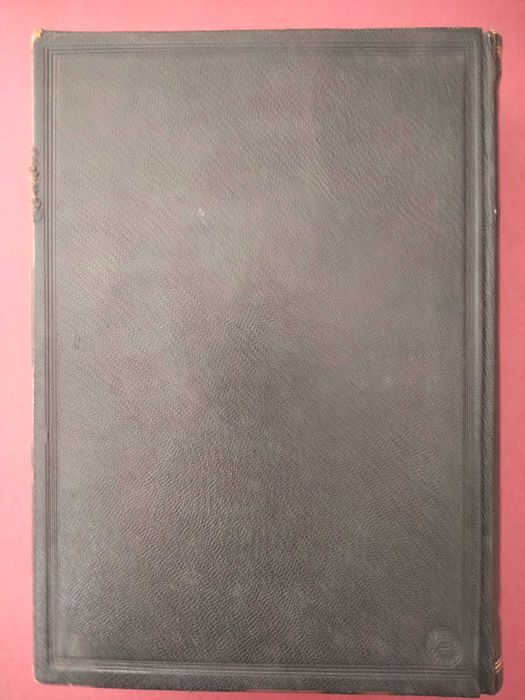 Grande Dicionário da Língua Portuguesa (11 Volumes + 9 Fasc.) - Morais