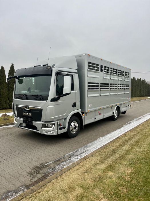 MAN TGL 12.250 2022 Do żywca zwierząt  Man Tgl 12.250 2022 Do Żywca do Zwierząt