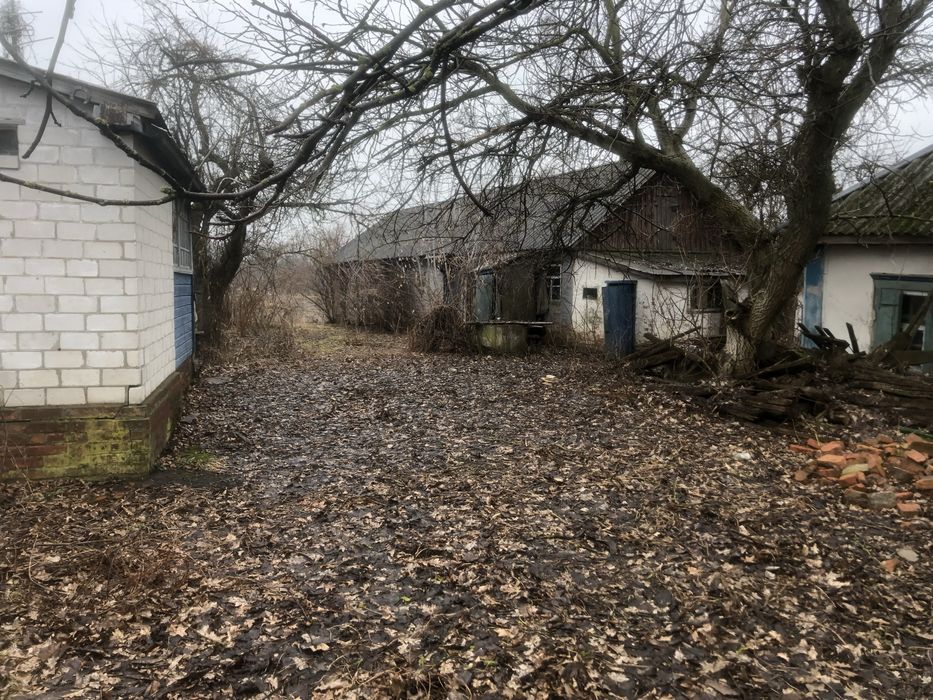 Продам будинок в селі Лютенька