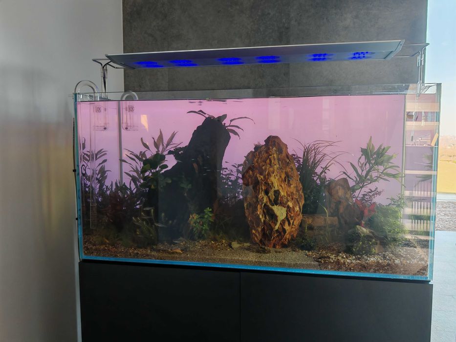 Podświetlane tło akwarium DIY jak Lightground Diversa itp 100x50cm RGB