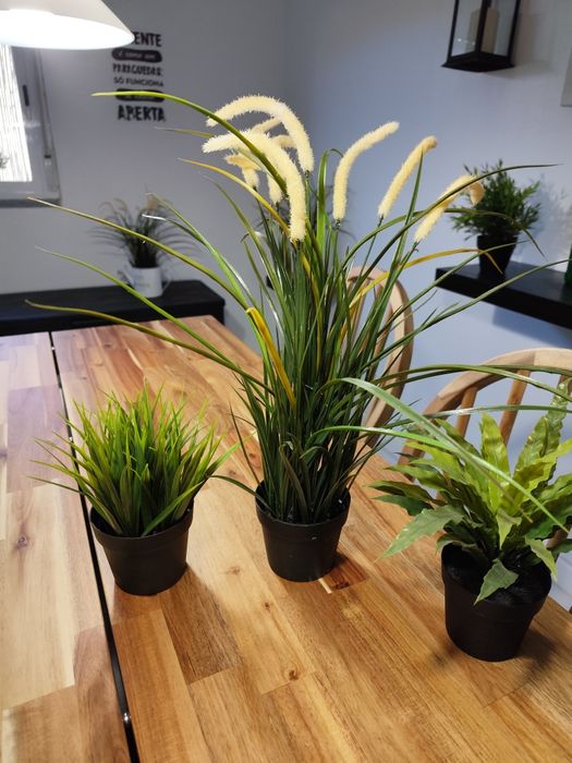 Conjunto 3 plantas artificiais novas