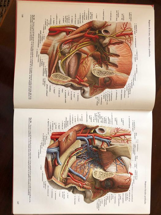 ATLAS de Anatomia Vol. 1 e 2