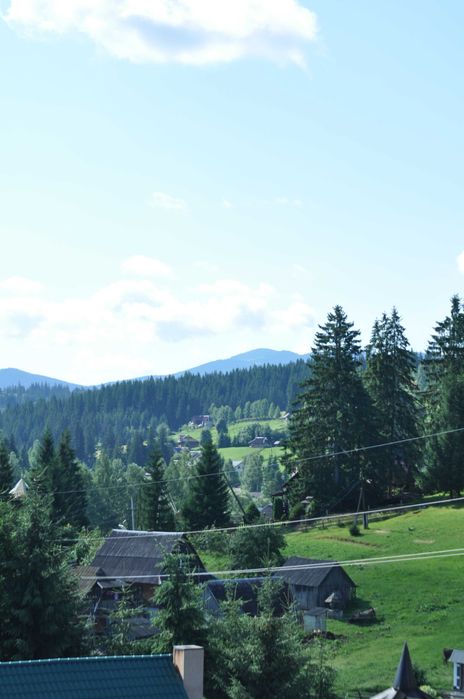 відпочинок у Карпатах