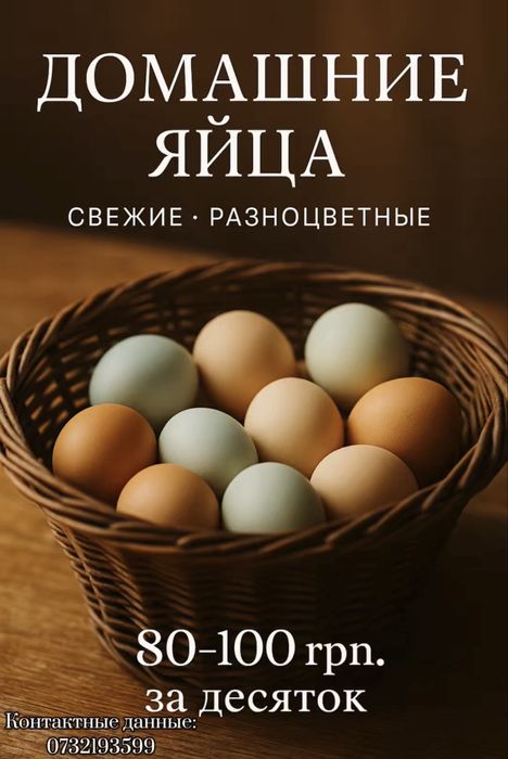Домашние яйца,инкубационное яйцо