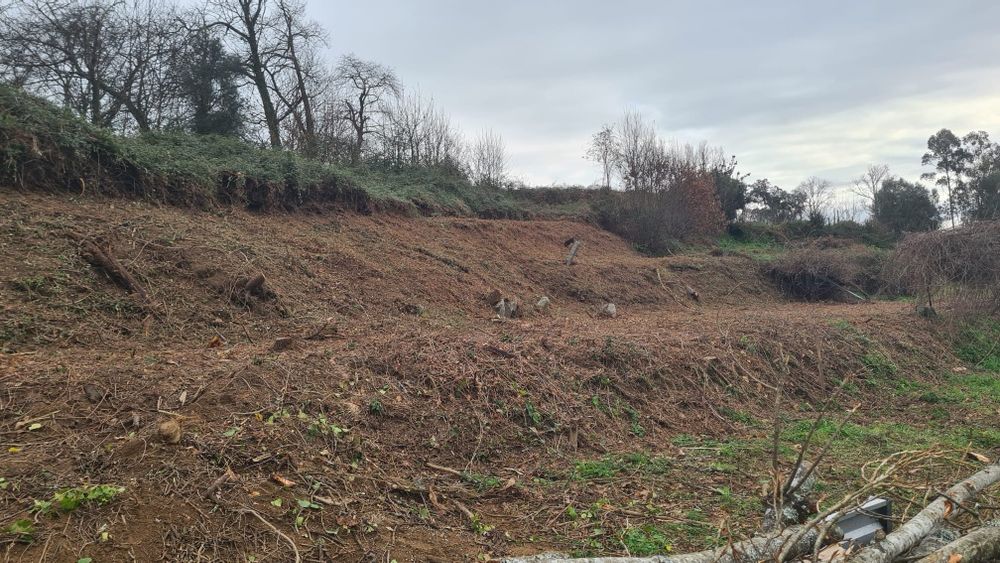 Limpeza florestais  ,terrenos e outros