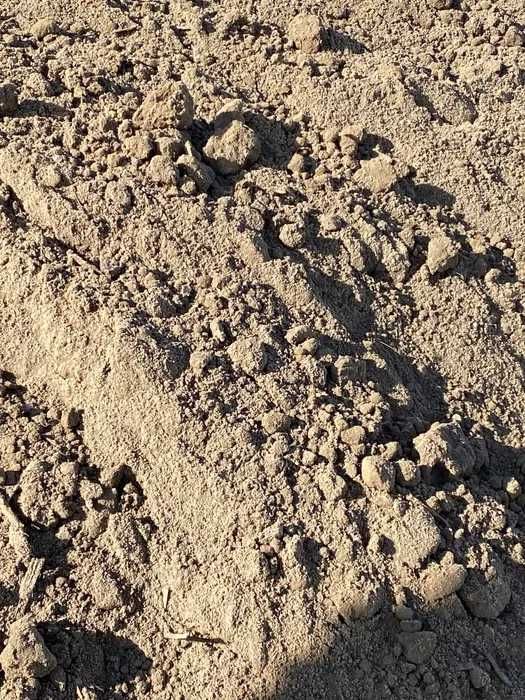 ZIEMIA z transportem ! Humus z pola bez zanieczyszczeń do ogrodu !