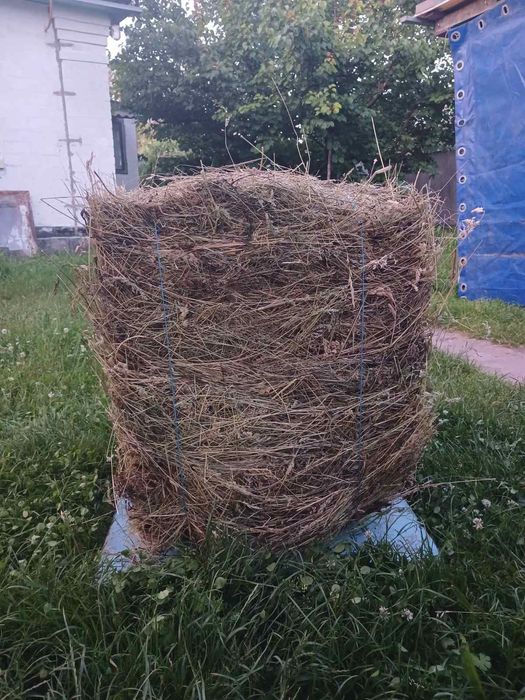 Продам сіно в тюках