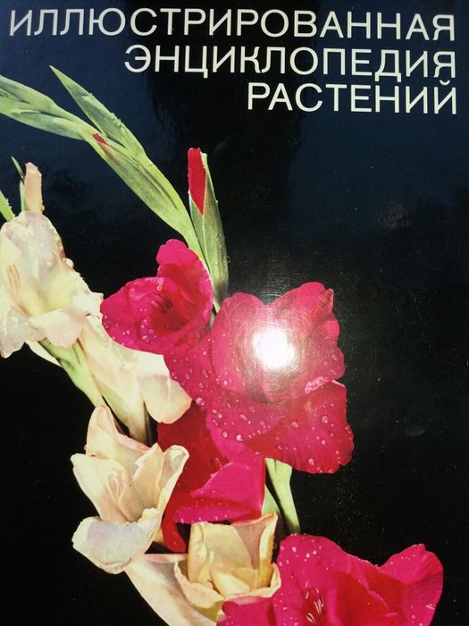 Иллюстрированная энциклопедия растений