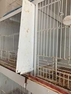 Gaiolas para passaros pequenos