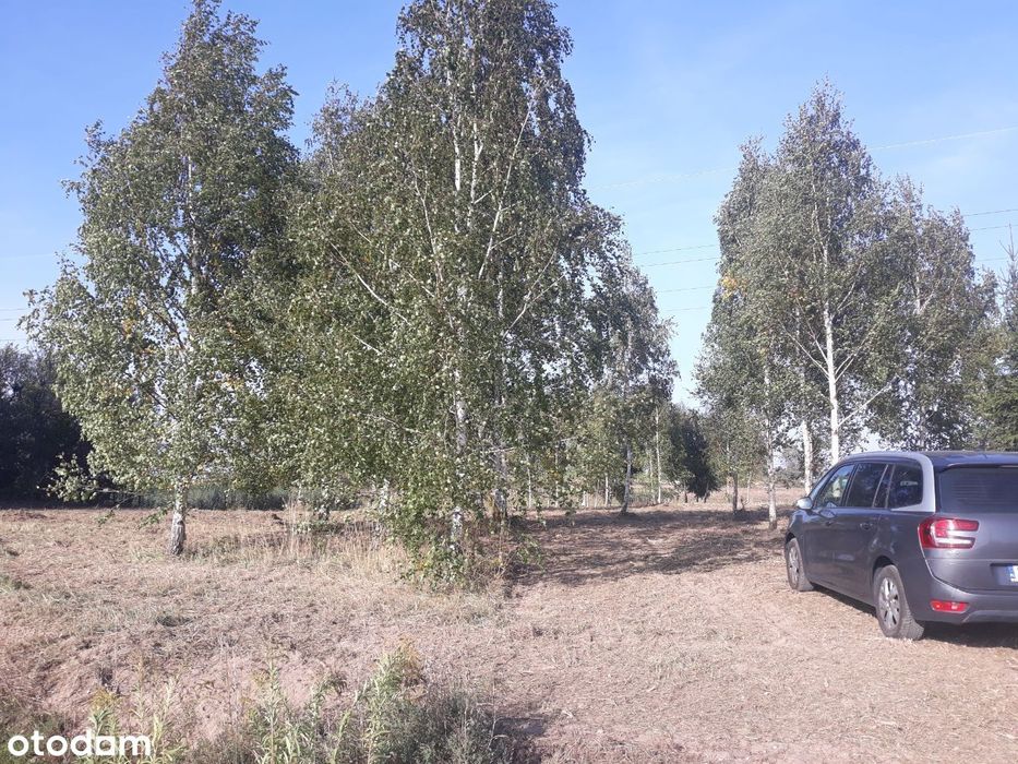 Działka Rolna 3200 m² Warmia-Mazury - View 4