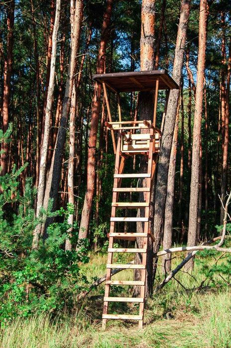 Ambona myśliwska model 6340