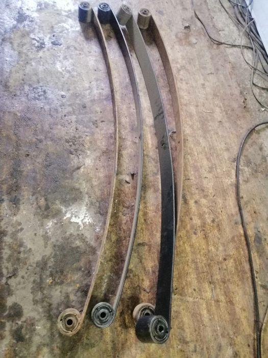 Коренной коренной лист