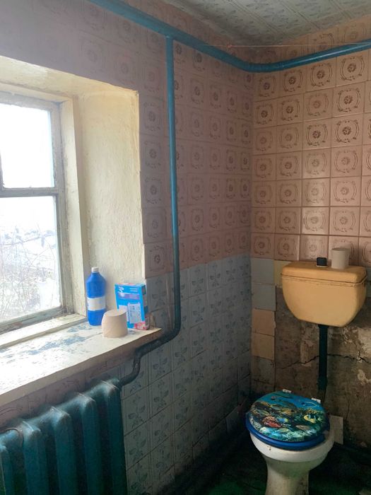 Продаж будинку з ділянкою 6 соток Кущівка (вул.Чернишевського)