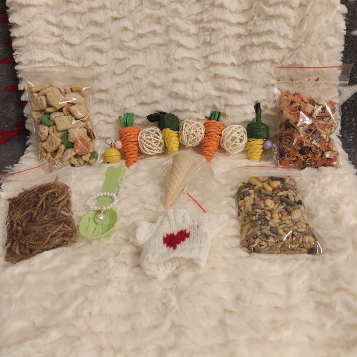 Happy chomik. Zestaw 3