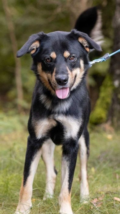 Olek .do szczęscia brakuje mu czlowieka.