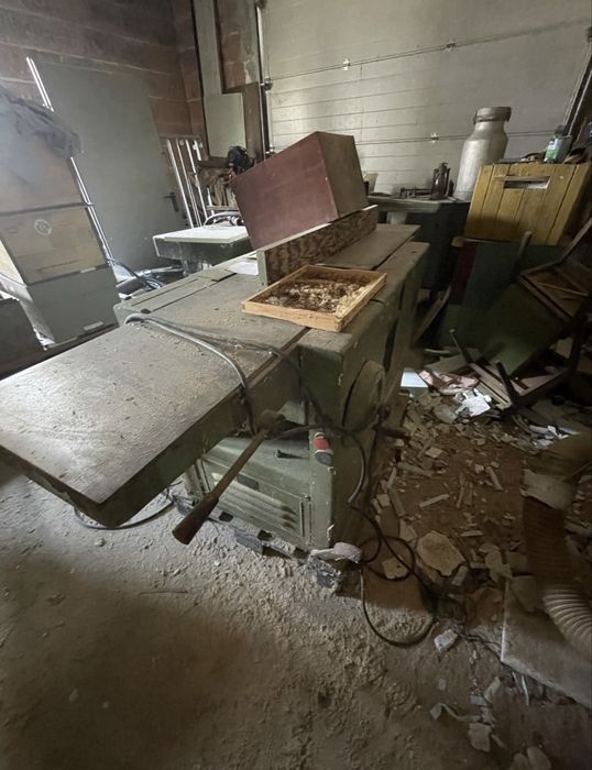 Gruboscianka strugarka jaroma