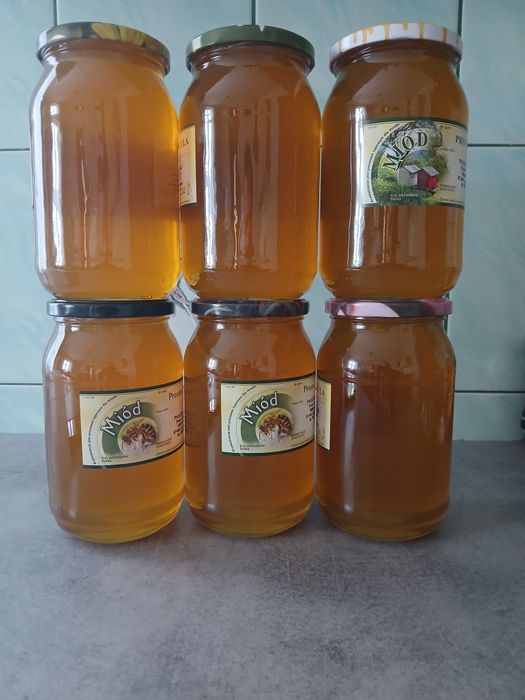 Miód wielokwiatowy
