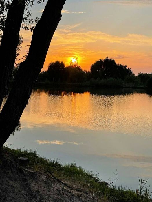 Дом с большим участком и озерами в лесу