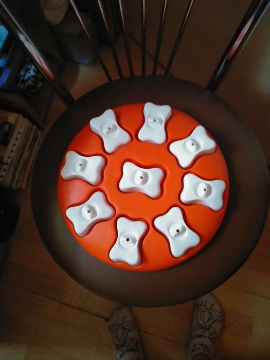 Sprzedam gre edukacyjna dla psa