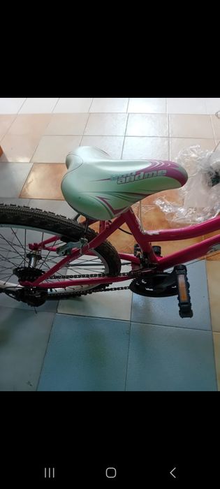 Bicicleta feminina