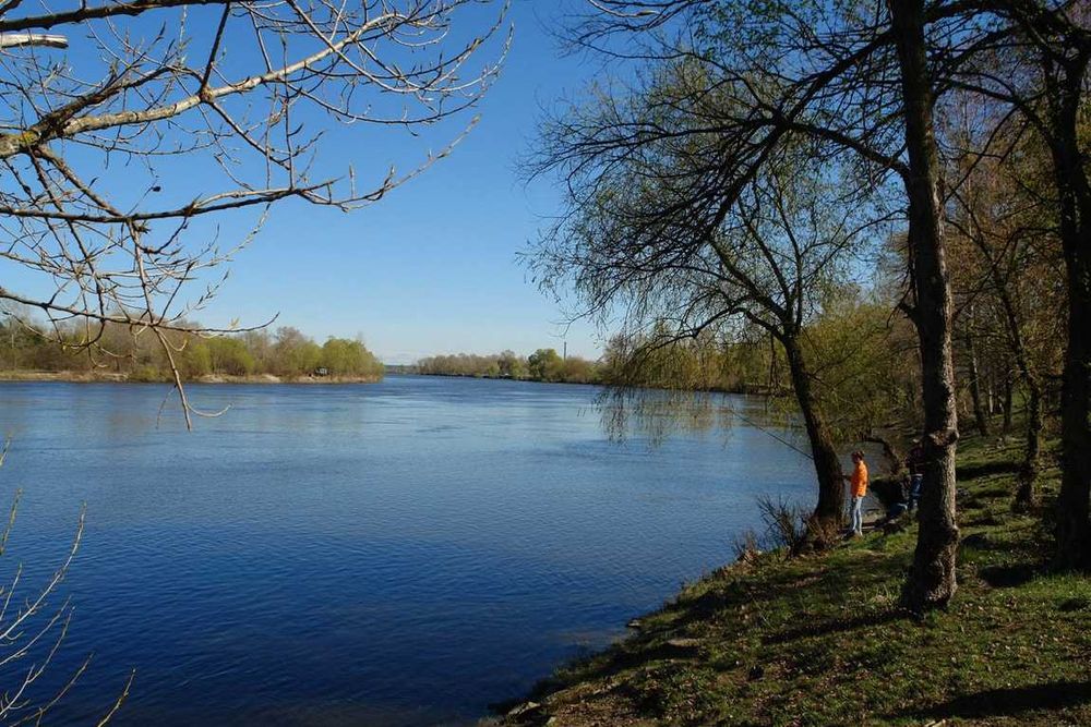 Земельна ділянка 10 соток біля Десни | поруч Київ | КМ Міжріччя