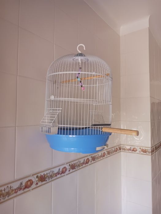Gaiola redonda para aves