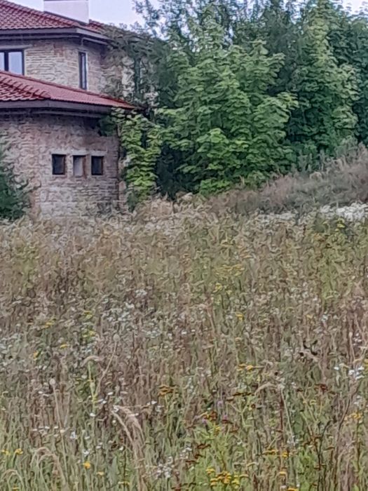 Продам земельну ділянку в с. Конопниця