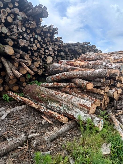 Drewno kominkowe opałowe od  230 zl