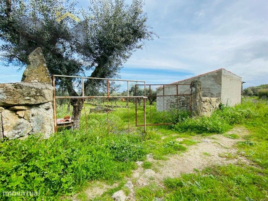 Quinta em zona rural tranquila