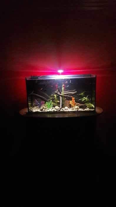 Продам акваріум 120л комплект