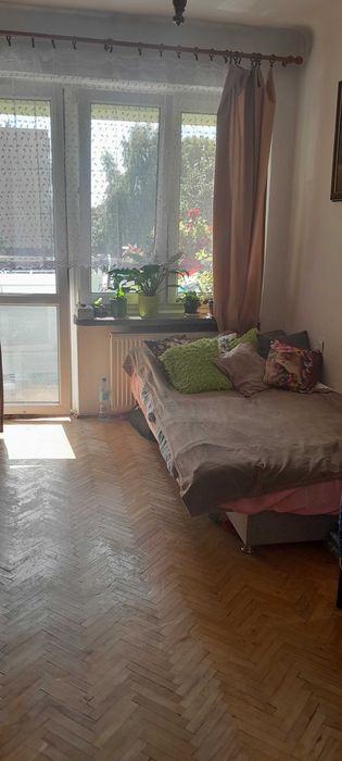 mieszkanie | 2 pokoje + kuchnia, 50 m², balkon i piwnica | Centrum | 1500 zł