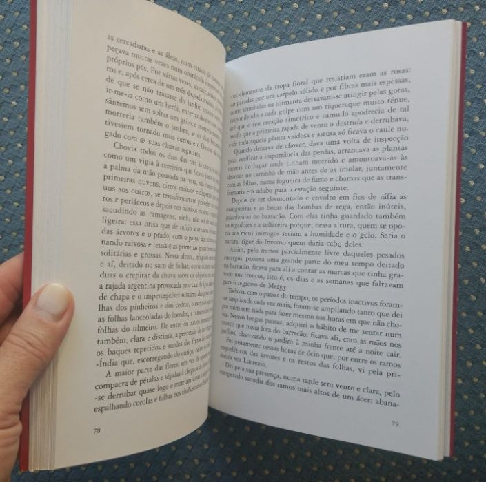 “Com a Cabeça nas Nuvens" Susanna Tamaro Galardoado 1989 Como NOVO