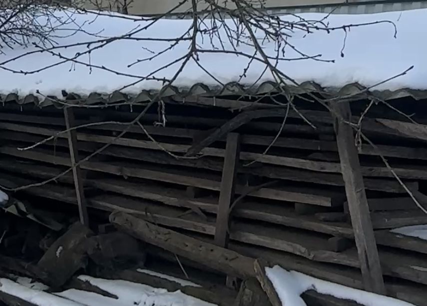 Дубова дошка суха