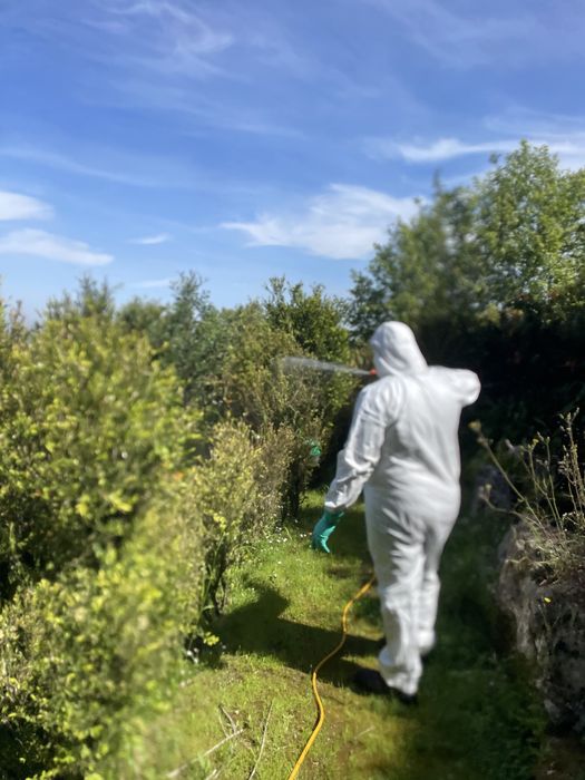 Jardineiro Aplicador de Insectsidas autorizado