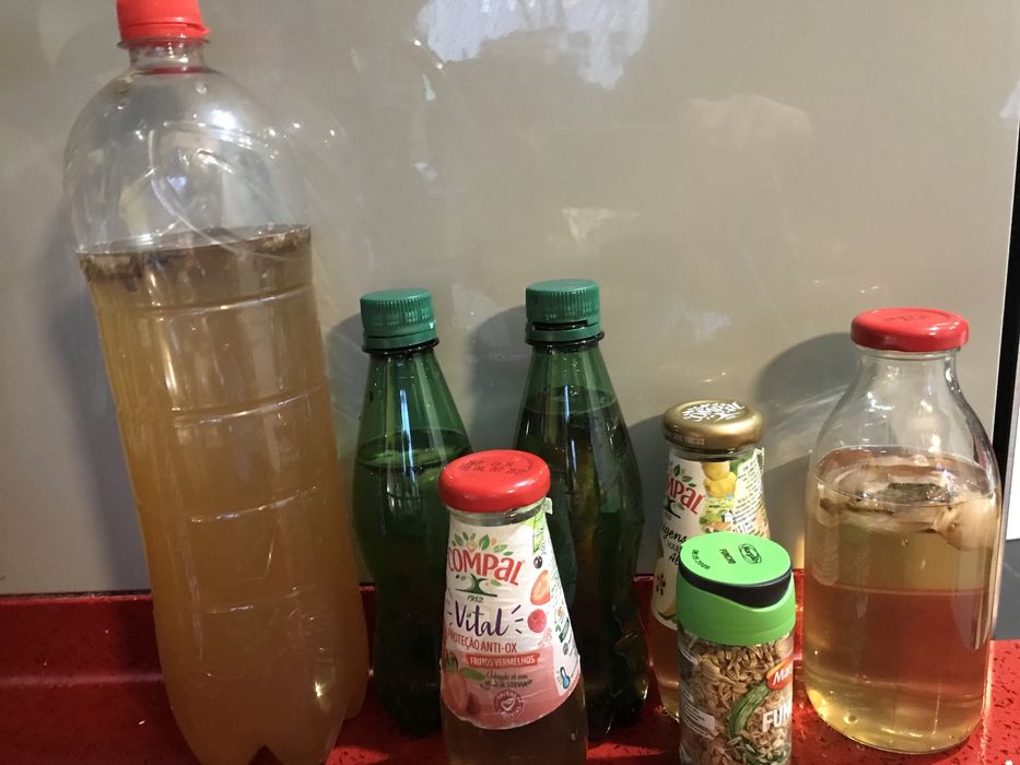 Kombucha caseira varios sabores