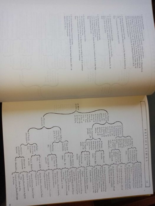 Theatro Genealogico Biblioteca de D. Manuel II Vol II