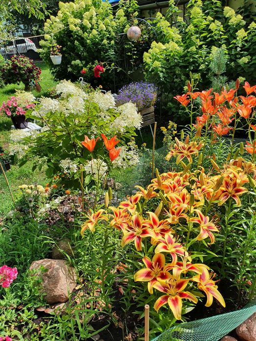 Prace ogrodowe, przygotowanie ogrodu do wiosny, odsniezanie.