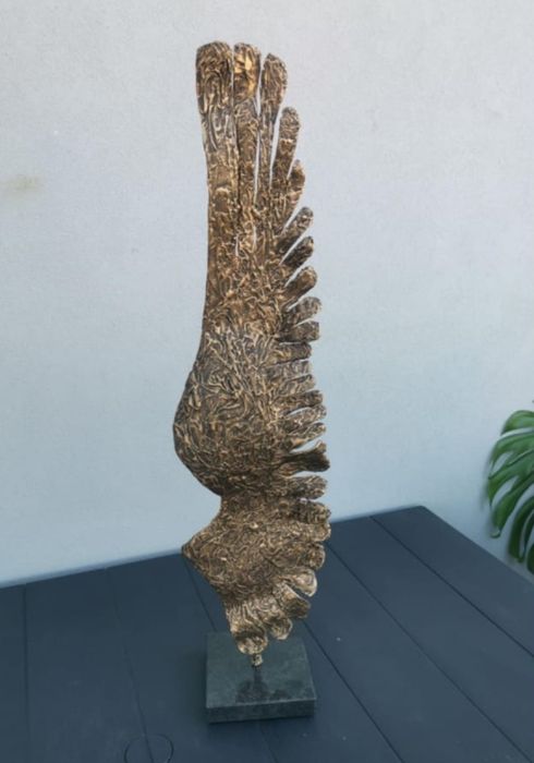 Asa de anjo ouro velho