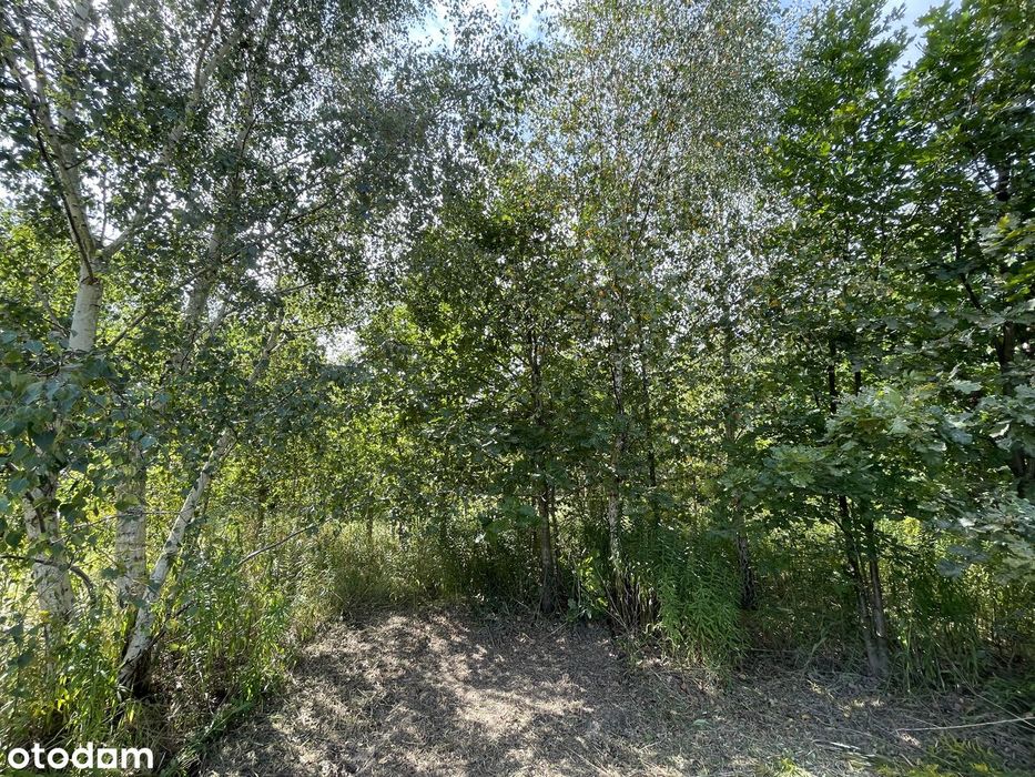 Działka budowlana Żołędowo 1348m2