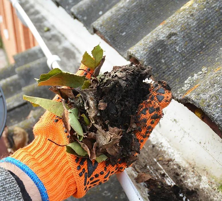 Limpeza de algeroz e impermeabilização de telhado