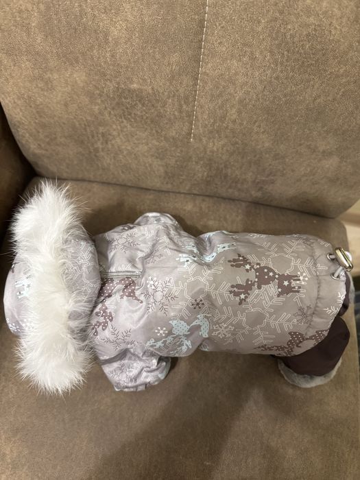 Продам зимовий комбез для йорка